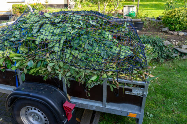 Best Furniture Removal  in Rockledge, PA